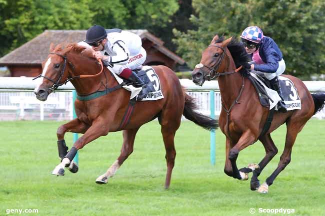 11/09/2024 - Compiègne - Prix Nuage : Arrivée