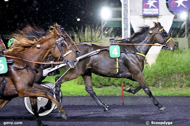 08/10/2024 - Vincennes - Prix Kolga : Arrivée