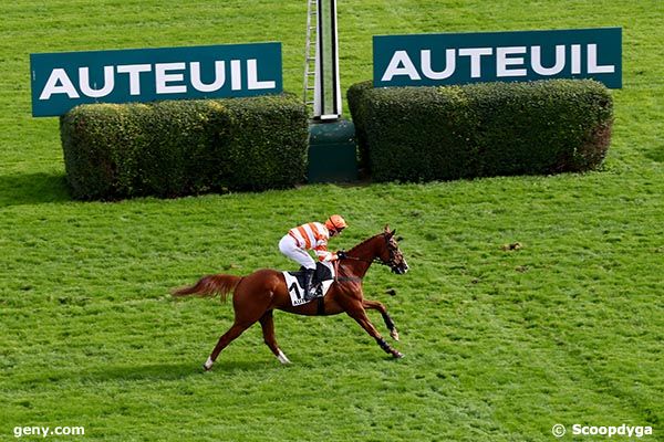 13/10/2024 - Auteuil - Prix André Adèle : Arrivée