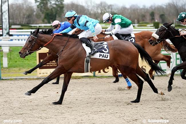 08/01/2025 - Pau - Prix Soal Racing (Prix d'Etsaut) : Arrivée