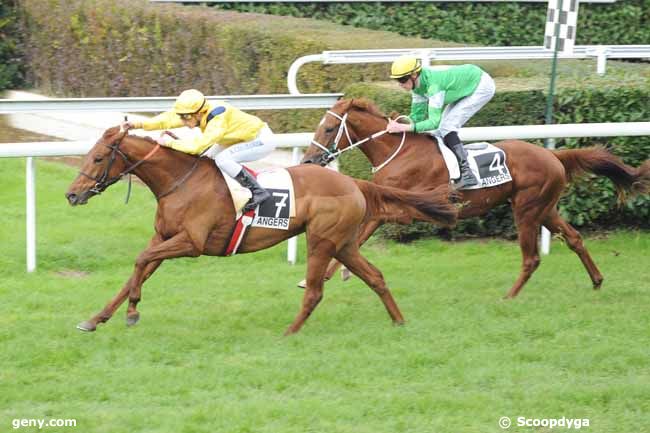 13/11/2012 - Angers - Prix Kerautem : Arrivée