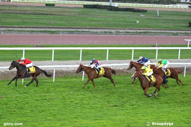 11/11/2013 - Toulouse - Grand National des Anglo-Arabes à 12.5 % : Result