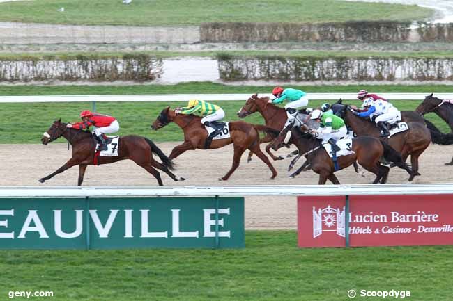 13/01/2014 - Deauville - Prix de la Briqueterie : Arrivée