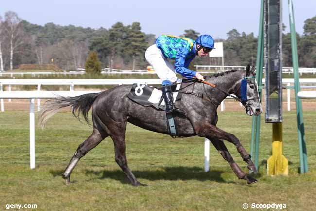 15/03/2016 - Fontainebleau - Prix d'Arbonne-la-Forêt : Arrivée