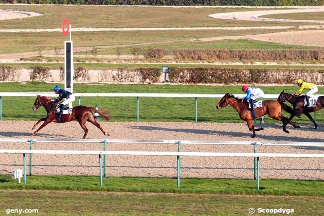 16/12/2016 - Deauville - Prix de Mondeville : Ankunft