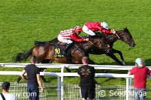 16/06/2025 - Compiègne - Prix de Clermont de l'Oise: Ankunft