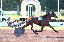 17/09/2025 - Lyon-Parilly - Prix d'Enghien: Arrivée