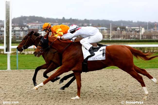 23/12/2018 - Deauville - Prix de Cheffreteau : Ankunft