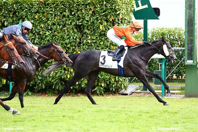 27/06/2020 - Chantilly - Prix du Bois Saint-Denis : Arrivée