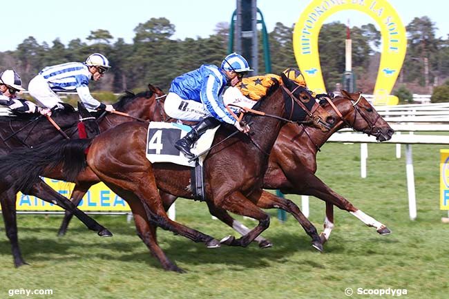 18/03/2022 - Fontainebleau - Prix de Bois-le-Roi : Arrivée