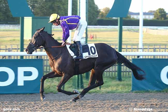 09/09/2023 - Chantilly - Prix du Canal Saint-Jean : Arrivée