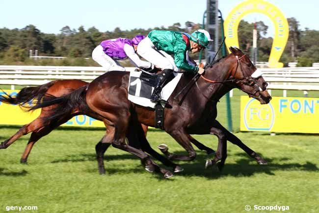 24/09/2023 - Fontainebleau - Prix des Chevreuils : Arrivée