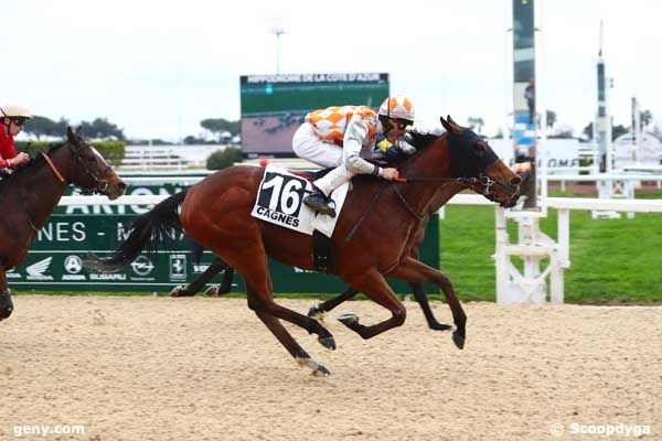 17/01/2024 - Cagnes-sur-Mer - Prix Caire Gros : Arrivée