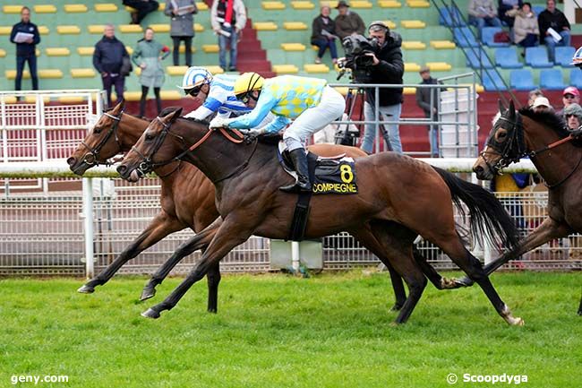 16/04/2024 - Compiègne - Prix de Rethondes : Arrivée