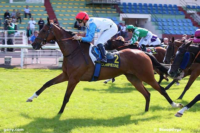 07/06/2024 - Compiègne - Prix de la Garde Impériale : Arrivée