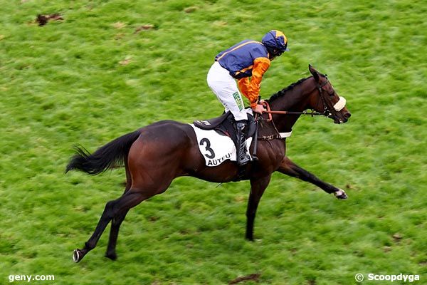 13/10/2024 - Auteuil - Prix Adrien Besnouin : Arrivée