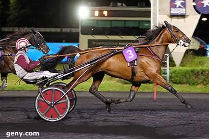 09/05/2025 - Vincennes - Prix Masina : Arrivée