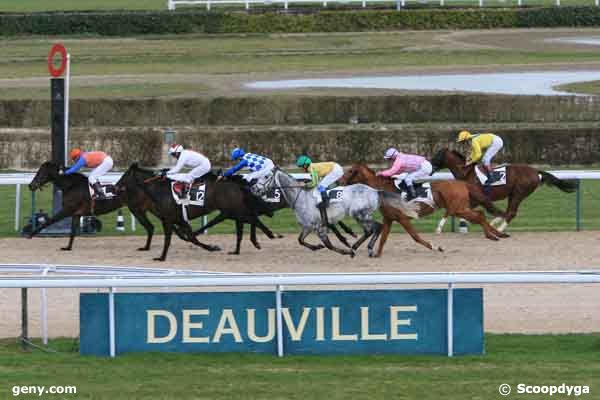 10/01/2008 - Deauville - Prix du Taillis : Arrivée