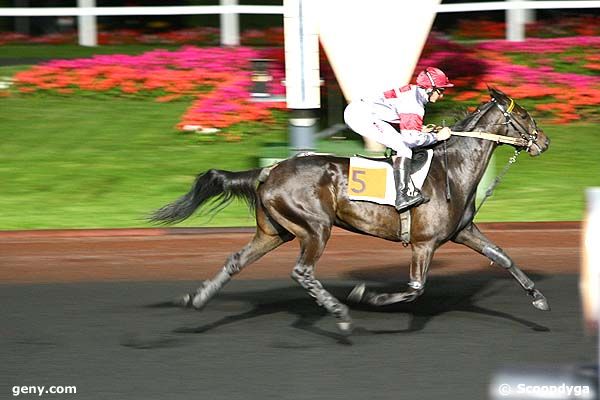 16/09/2008 - Vincennes - Prix Andromeda : Arrivée