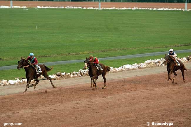 23/12/2010 - Cabourg - Prix des Pissenlits : Arrivée