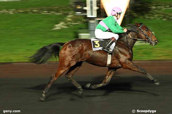 01/12/2011 - Vincennes - Prix Albert Libeer : Ankunft