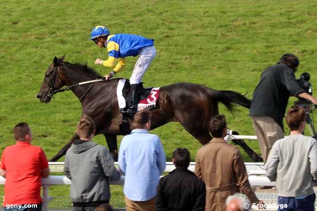 31/07/2015 - Clairefontaine-Deauville - Prix du Quai au Coq : Ankunft