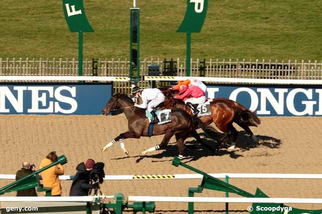 16/02/2016 - Chantilly - Prix du Lay du Prieuré : Arrivée