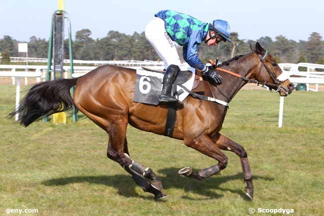 15/03/2016 - Fontainebleau - Prix des Bruyères : Result