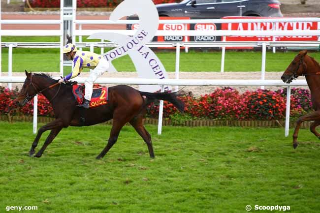 11/11/2016 - Toulouse - Grand National des Anglo-Arabes à 12.5 % : Arrivée