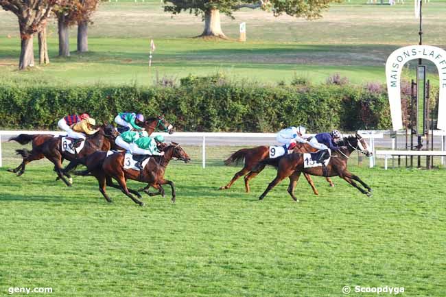 19/10/2018 - Maisons-Laffitte - Prix de l'Avenue de la Fontaine : Arrivée