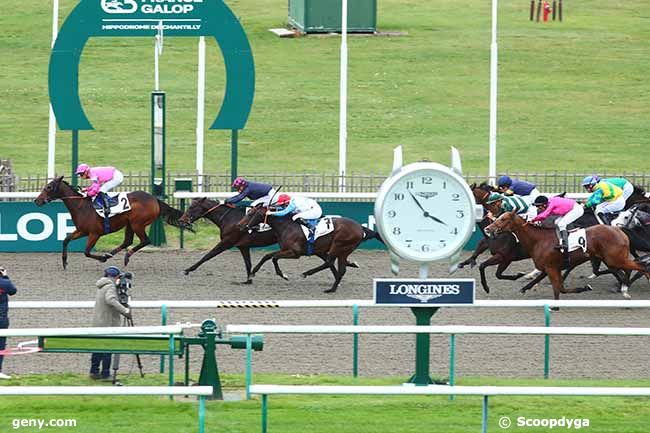 27/10/2023 - Chantilly - Prix du Labyrinthe de Buis : Arrivée