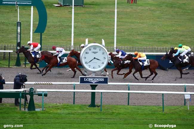 21/11/2023 - Chantilly - Prix du Plan d'Eau du Canada : Arrivée