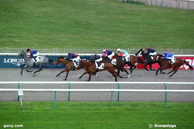 01/03/2024 - Chantilly - Prix Otto : Arrivée