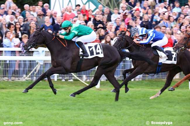 21/09/2025 - Fontainebleau - Prix Label Equures : Arrivée