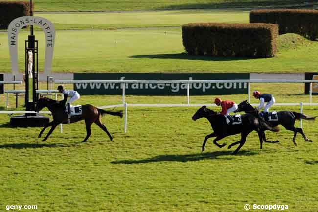 04/11/2008 - Maisons-Laffitte - Prix Diatome : Arrivée