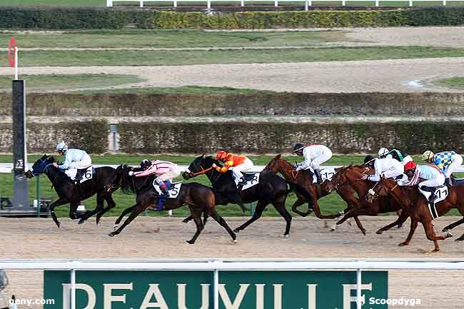 30/12/2008 - Deauville - Prix de la Pierre aux Fées : Arrivée