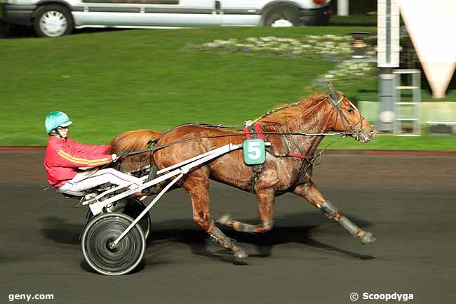 17/11/2009 - Vincennes - Prix Norma : Arrivée