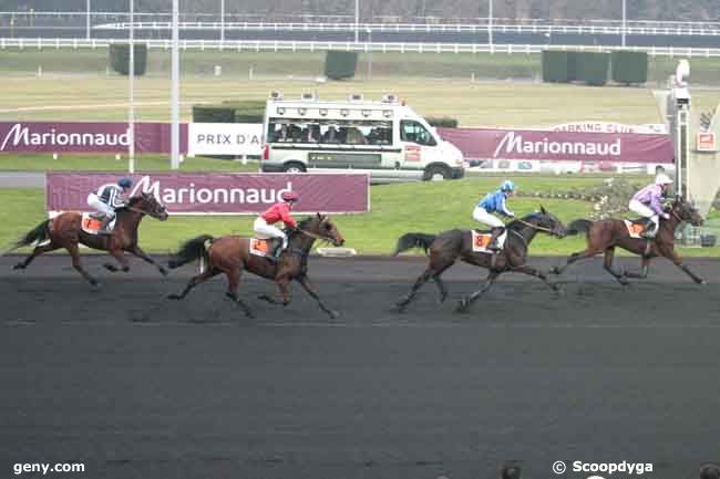 29/01/2011 - Vincennes - Prix de Clamecy : Ankunft