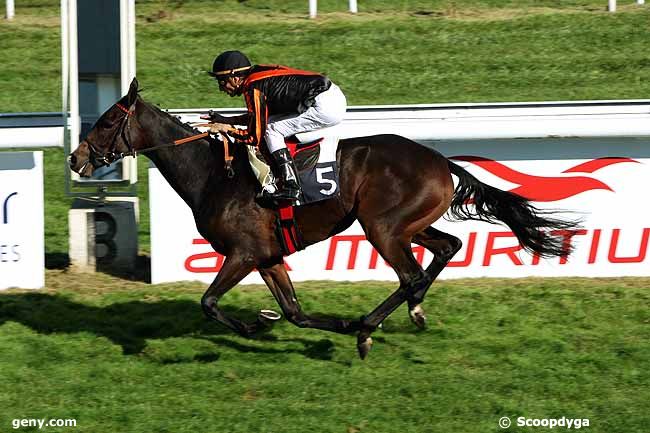 13/10/2011 - Bordeaux-Le Bouscat - Prix Colonel Réglade : Ankunft