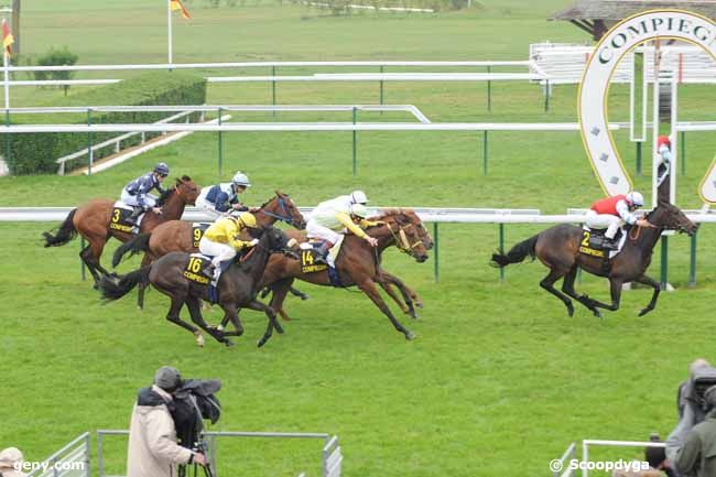 21/05/2012 - Compiègne - Prix Oxava : Result