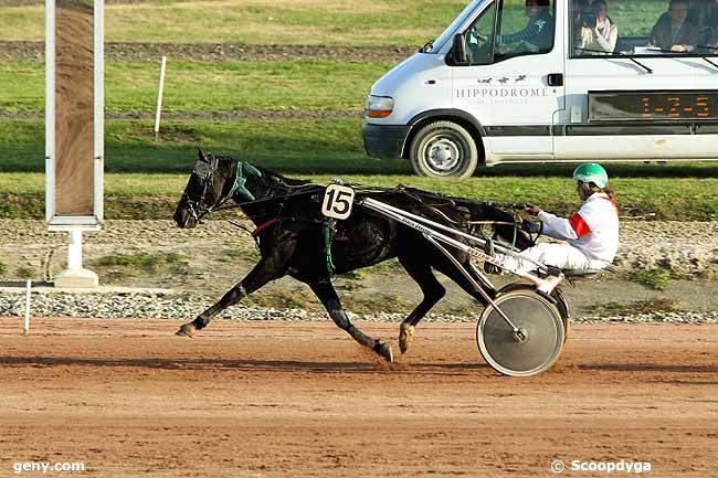 14/11/2012 - Toulouse - Prix de Belmont : Arrivée