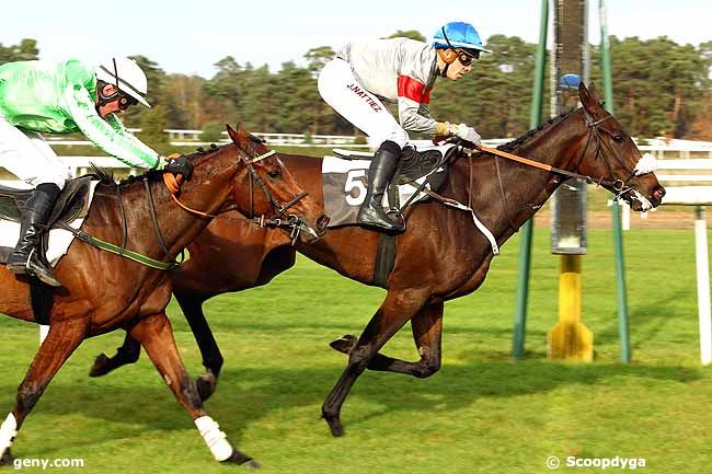 05/11/2015 - Fontainebleau - Prix du Comte Antoine de Gontaut-Biron : Arrivée