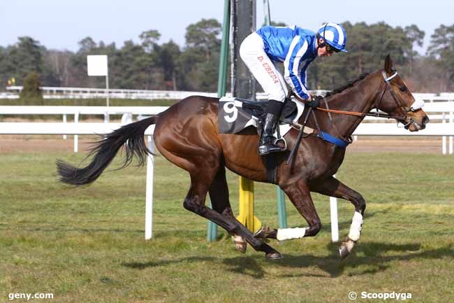 15/03/2016 - Fontainebleau - Prix de la Croix de Saint-Herem : Arrivée