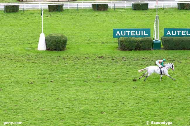 16/11/2019 - Auteuil - Prix Métatéro : Arrivée