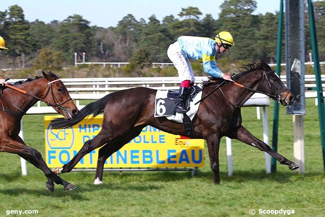 18/03/2022 - Fontainebleau - Prix de Vulaines-sur-Seine : Arrivée