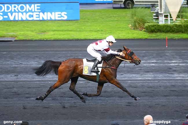 03/11/2022 - Vincennes - Prix Xavier de Saint Palais : Ankunft