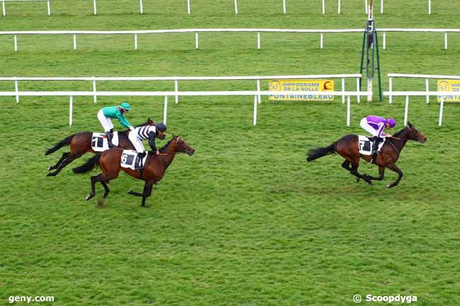 27/03/2023 - Fontainebleau - Prix de Samois-sur-Seine : Arrivée