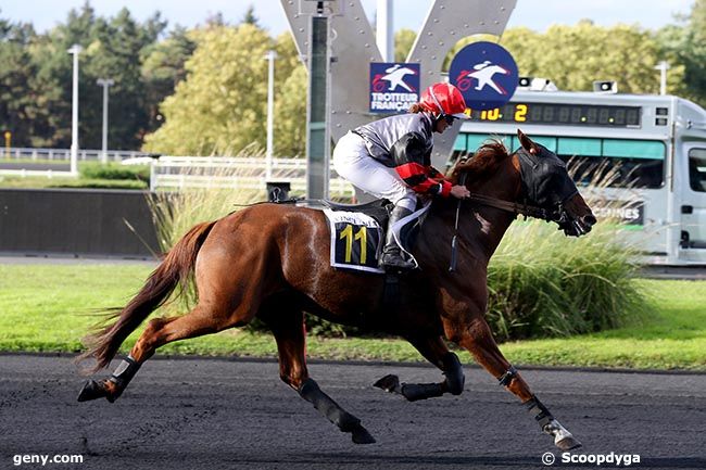 08/10/2024 - Vincennes - Prix Nysa : Arrivée