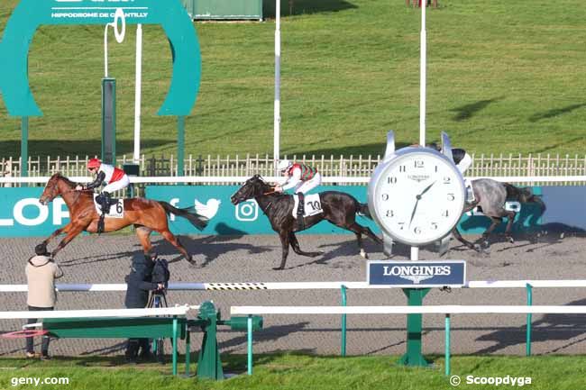 20/12/2024 - Chantilly - Prix de l'Ancien Potager : Result