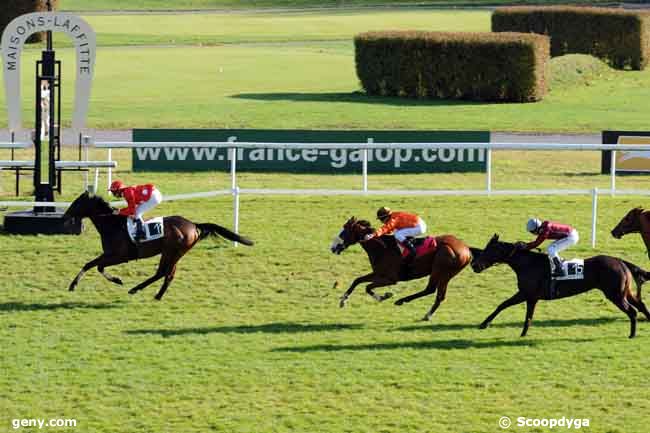 04/11/2008 - Maisons-Laffitte - Prix de Saint-Guenault : Arrivée